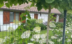 Apartamenty Buczyna w Sierakowie